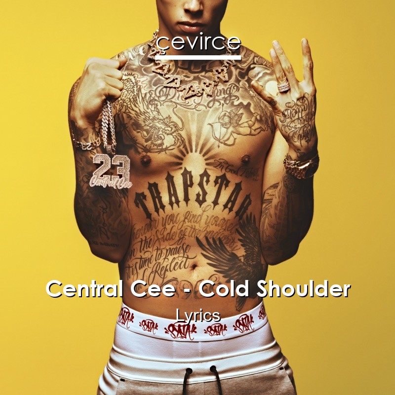 Central Cee – Cold Shoulder Lyrics