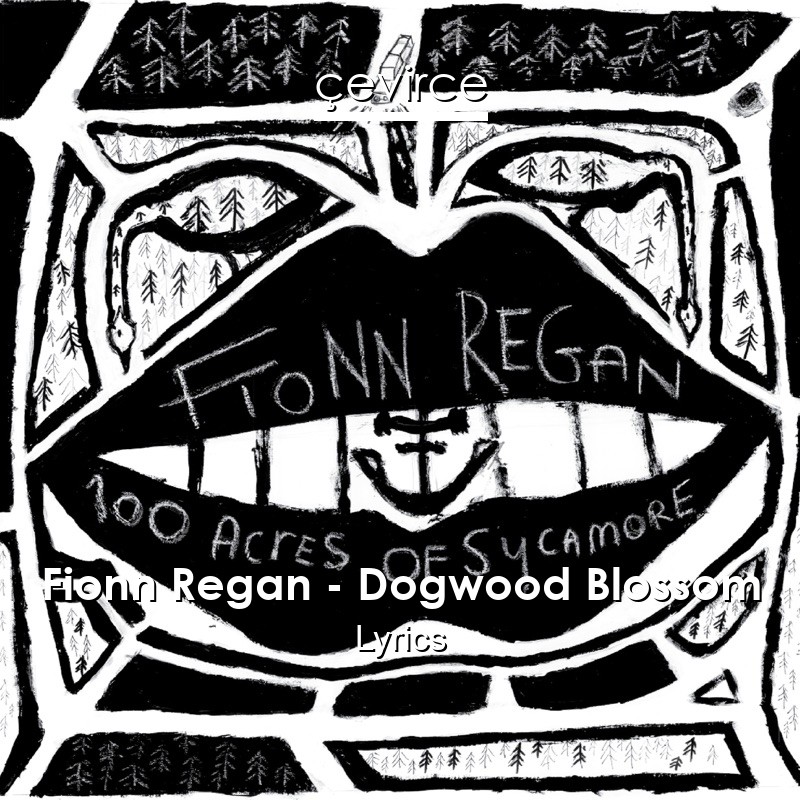 Fionn Regan – Dogwood Blossom Lyrics