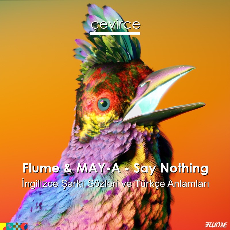 Flume & MAY-A – Say Nothing İngilizce Şarkı Sözleri Türkçe Anlamları