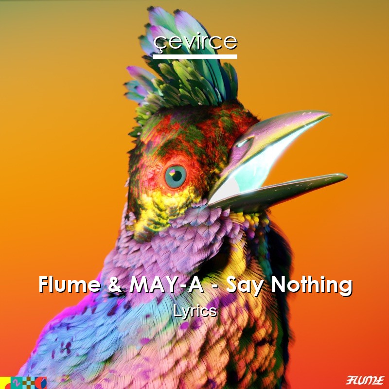 Flume & MAY-A – Say Nothing Lyrics