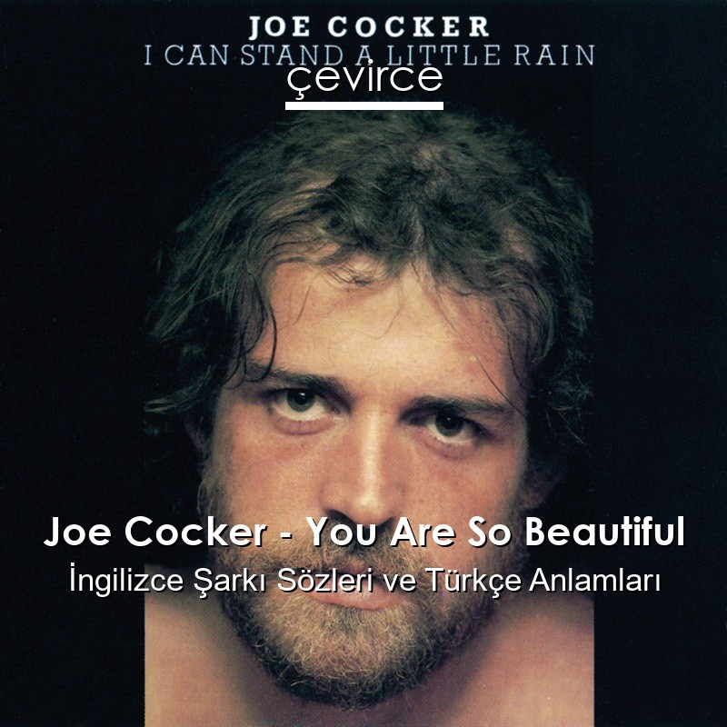 Joe Cocker – You Are So Beautiful İngilizce Şarkı Sözleri Türkçe Anlamları