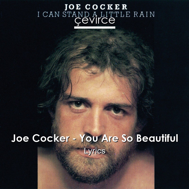 Joe Cocker – You Are So Beautiful Lyrics