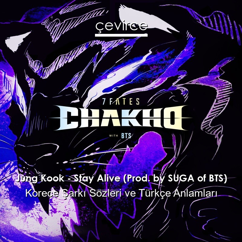 Jung Kook – Stay Alive (Prod. by SUGA of BTS) Korece Şarkı Sözleri Türkçe Anlamları