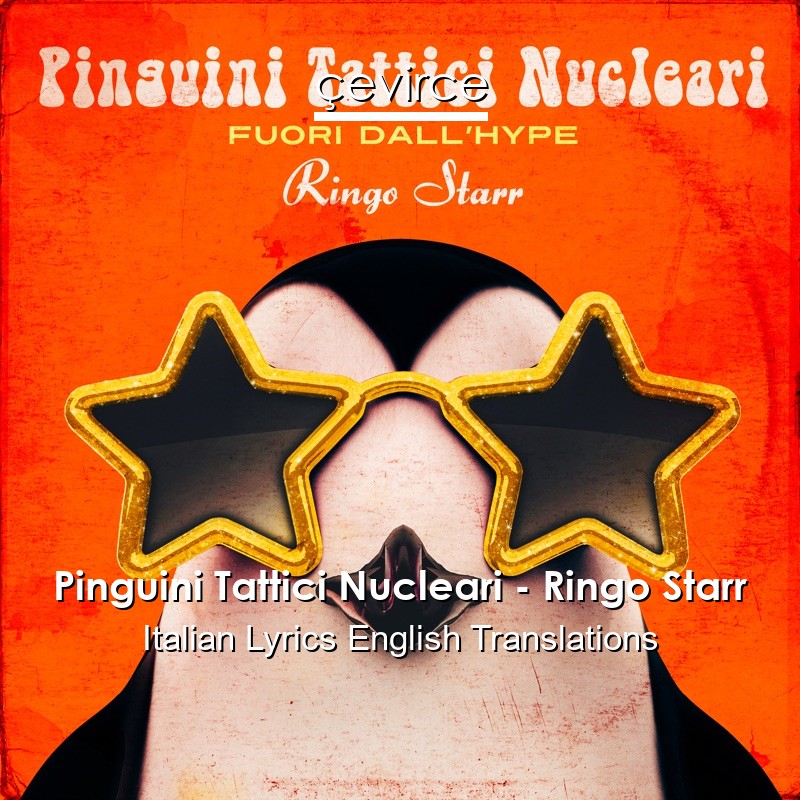 Pinguini Tattici Nucleari – Ringo Starr Italian Lyrics English Translations