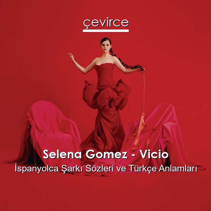 Selena Gomez – Vicio İspanyolca Şarkı Sözleri Türkçe Anlamları