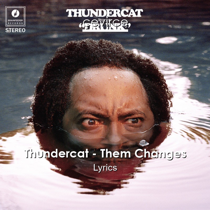 Thundercat – Them Changes Lyrics