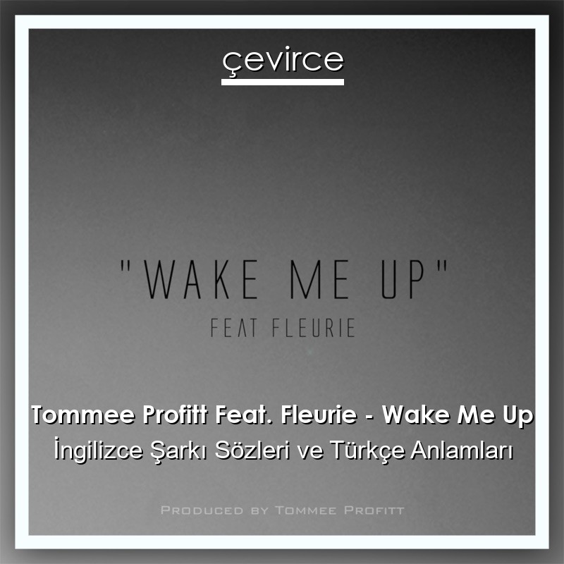 Tommee Profitt Feat. Fleurie – Wake Me Up İngilizce Şarkı Sözleri Türkçe Anlamları