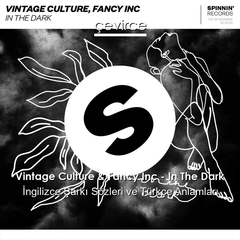 Vintage Culture & Fancy Inc – In The Dark İngilizce Şarkı Sözleri Türkçe Anlamları