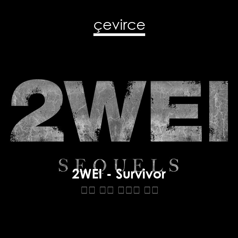 2WEI – Survivor 英語 歌詞 中國人 翻譯