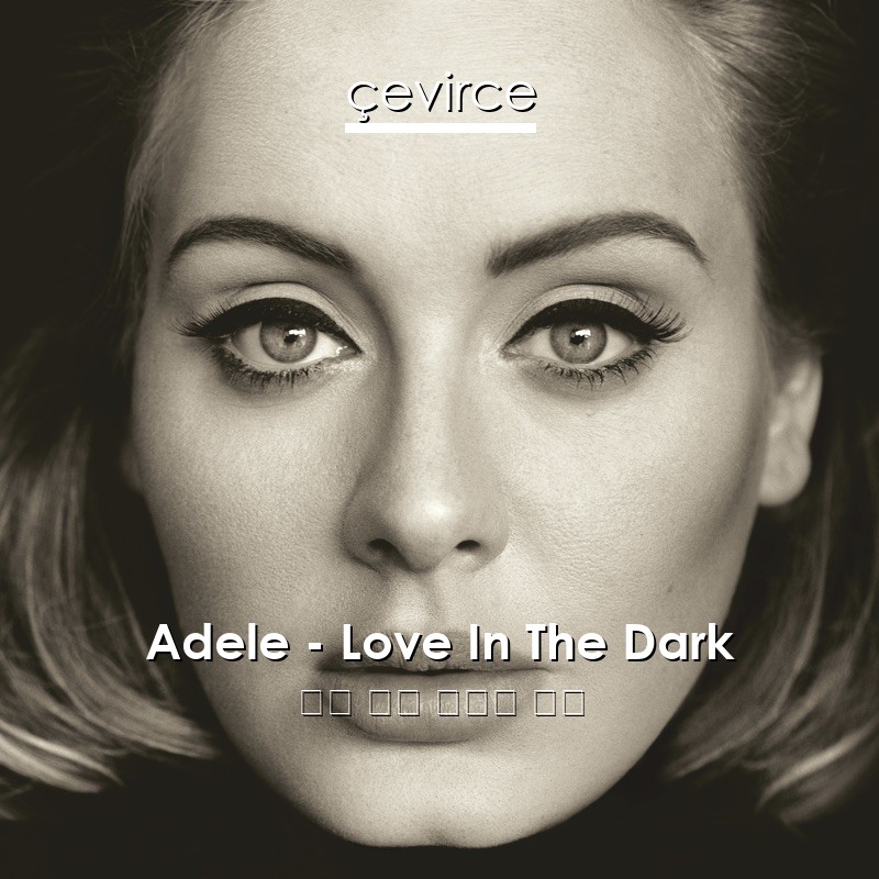 Adele – Love In The Dark 英語 歌詞 中國人 翻譯