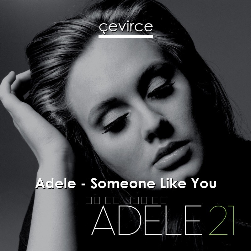 Adele – Someone Like You 英語 歌詞 中國人 翻譯