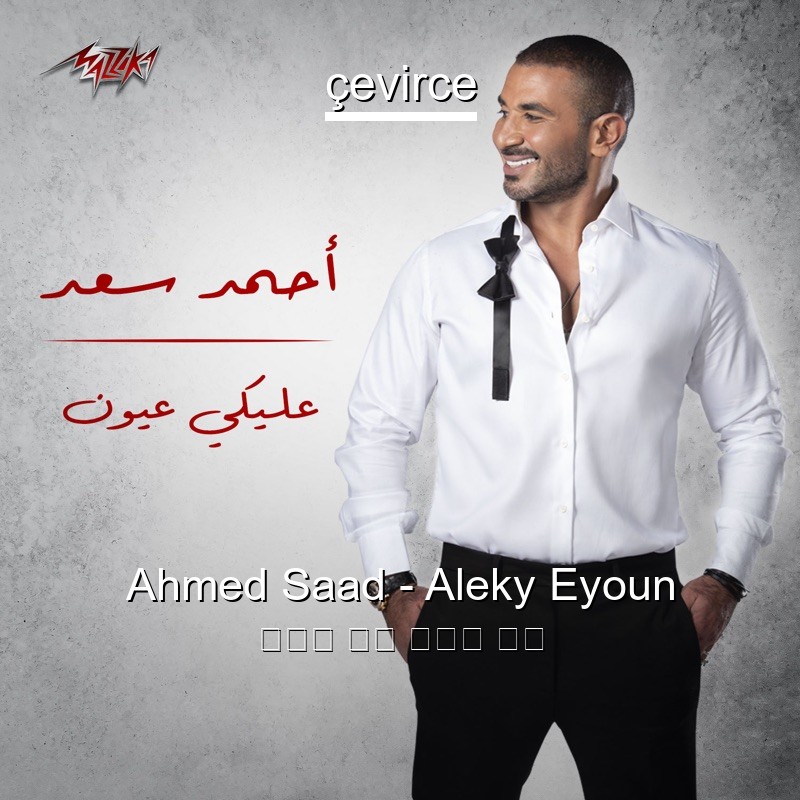 Ahmed Saad – Aleky Eyoun 阿拉伯 歌詞 中國人 翻譯