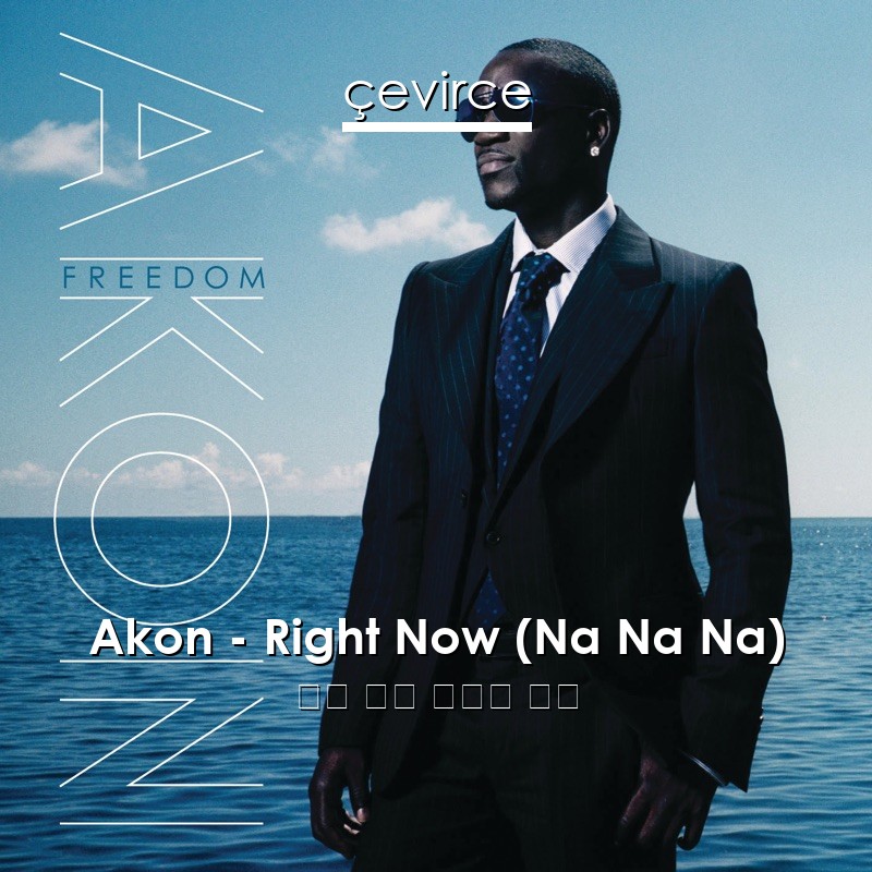 Akon – Right Now (Na Na Na) 英語 歌詞 中國人 翻譯