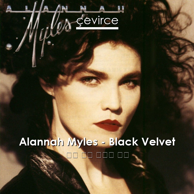 Alannah Myles – Black Velvet 英語 歌詞 中國人 翻譯