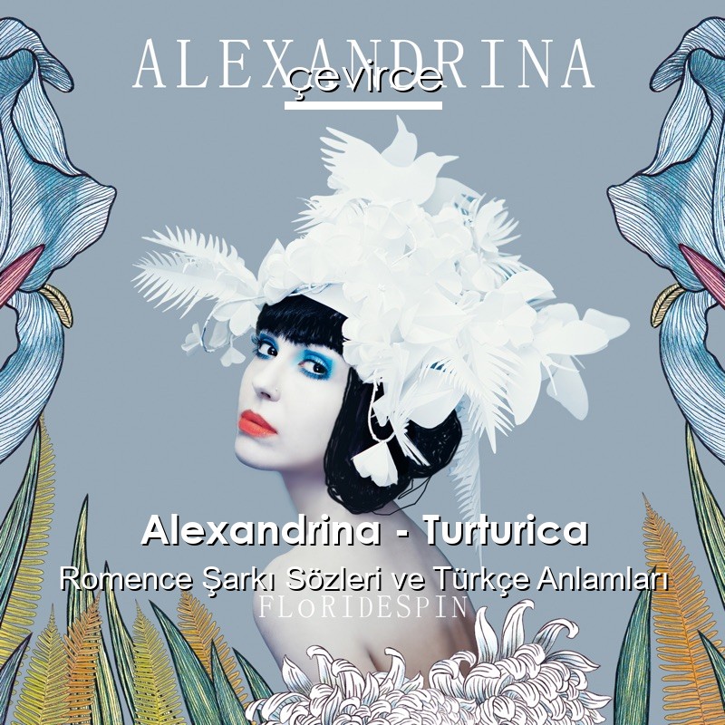Alexandrina – Turturica Romence Şarkı Sözleri Türkçe Anlamları