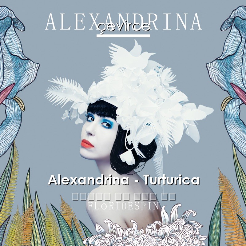 Alexandrina – Turturica 羅馬尼亞語 歌詞 中國人 翻譯