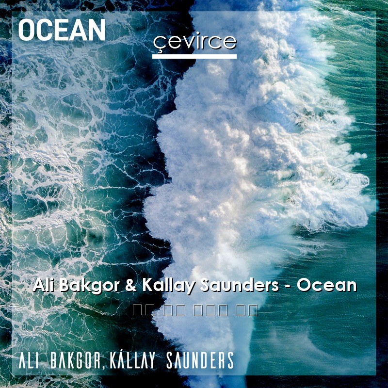 Ali Bakgor & Kallay Saunders – Ocean 英語 歌詞 中國人 翻譯