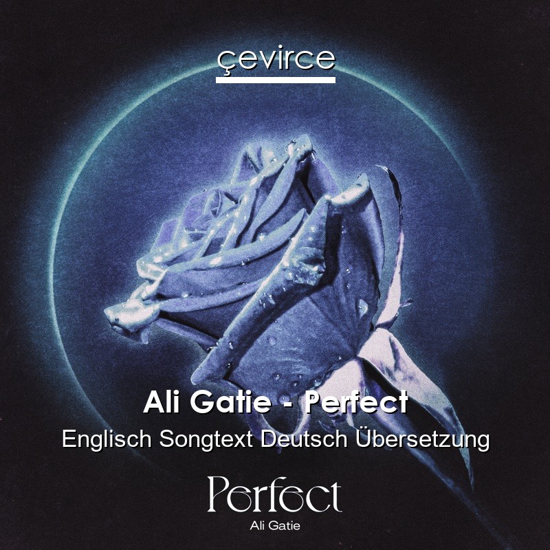 Ali Gatie – Perfect Englisch Songtext Deutsch Übersetzung