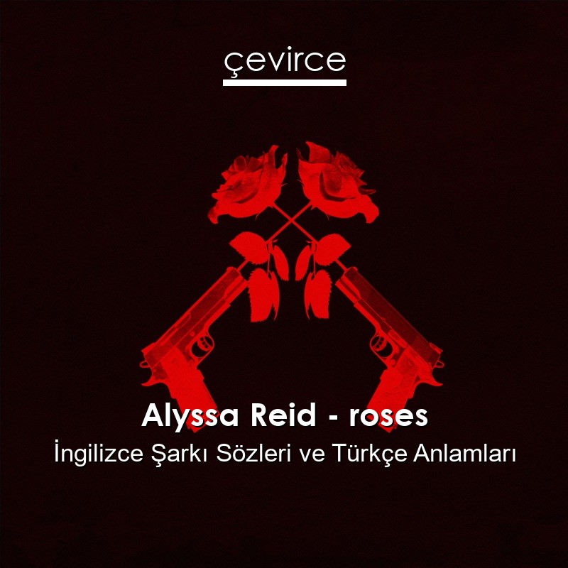 Alyssa Reid – roses İngilizce Şarkı Sözleri Türkçe Anlamları