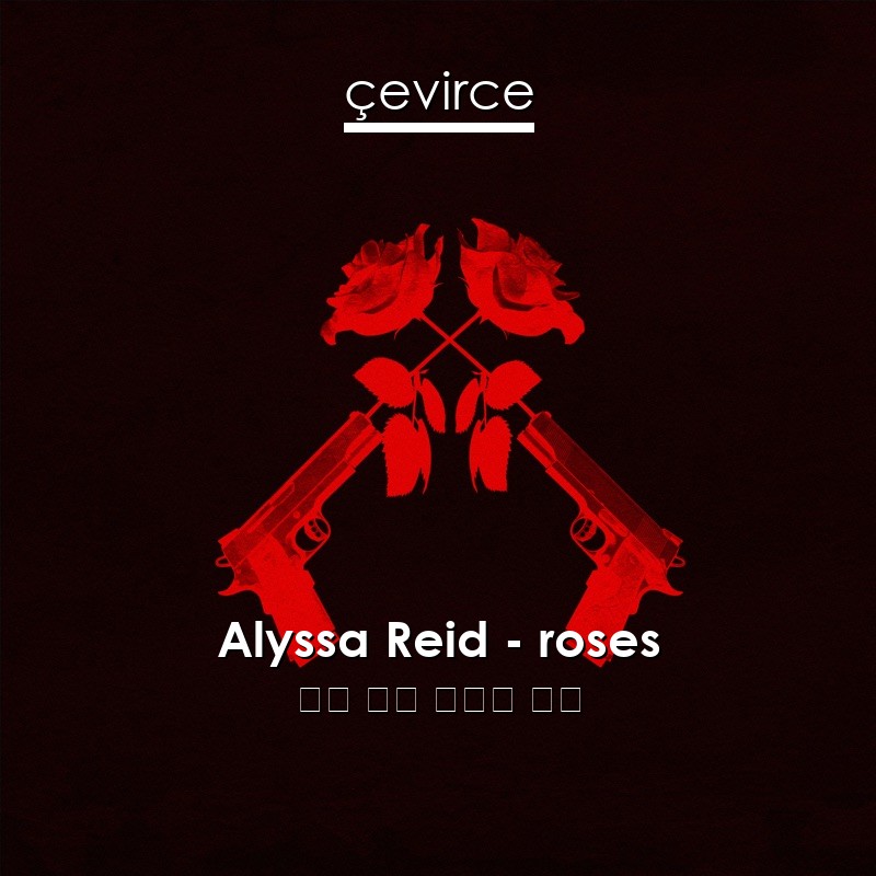 Alyssa Reid – roses 英語 歌詞 中國人 翻譯