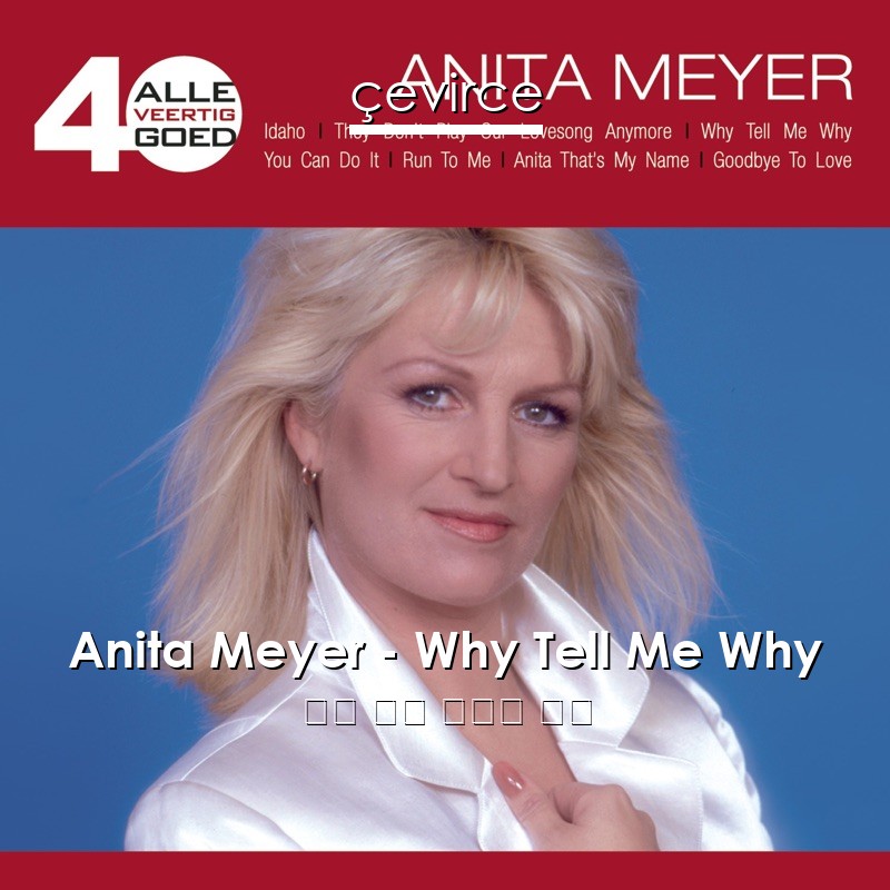 Anita Meyer – Why Tell Me Why 英語 歌詞 中國人 翻譯