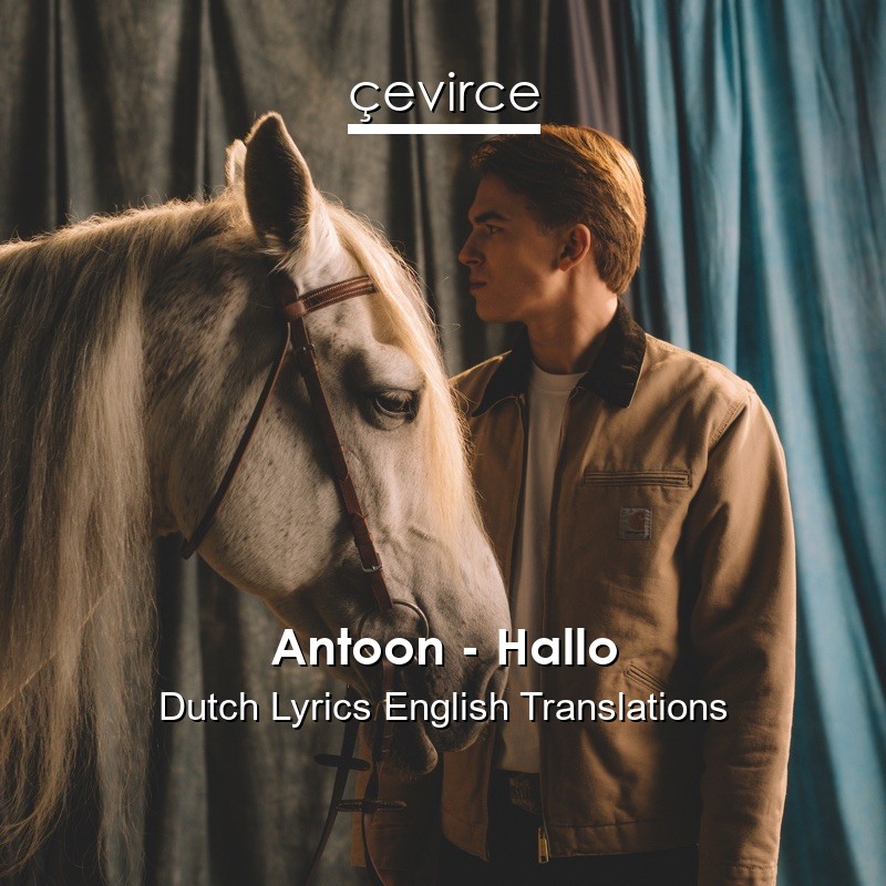 Antoon – Hallo Dutch Lyrics English Translations