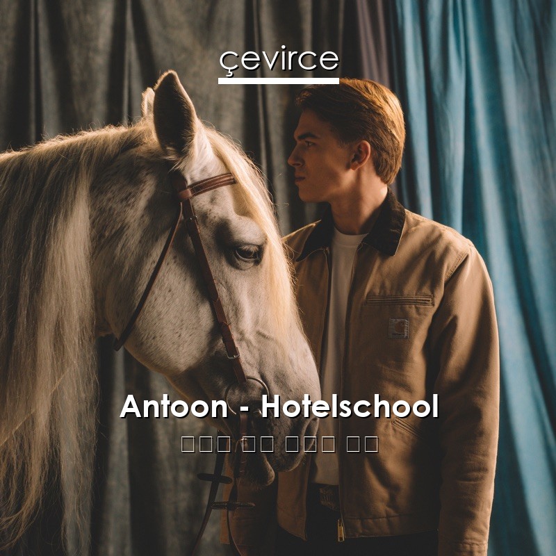 Antoon – Hotelschool 荷蘭語 歌詞 中國人 翻譯