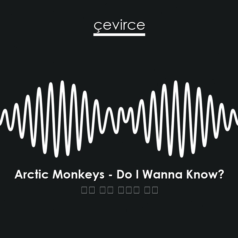 Arctic Monkeys – Do I Wanna Know? 英語 歌詞 中國人 翻譯