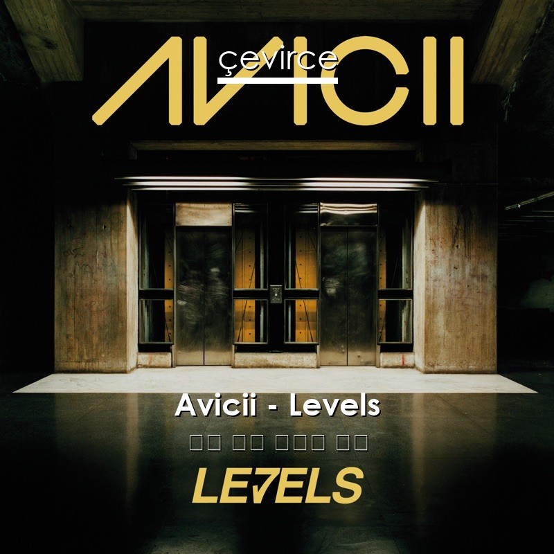 Avicii – Levels 英語 歌詞 中國人 翻譯