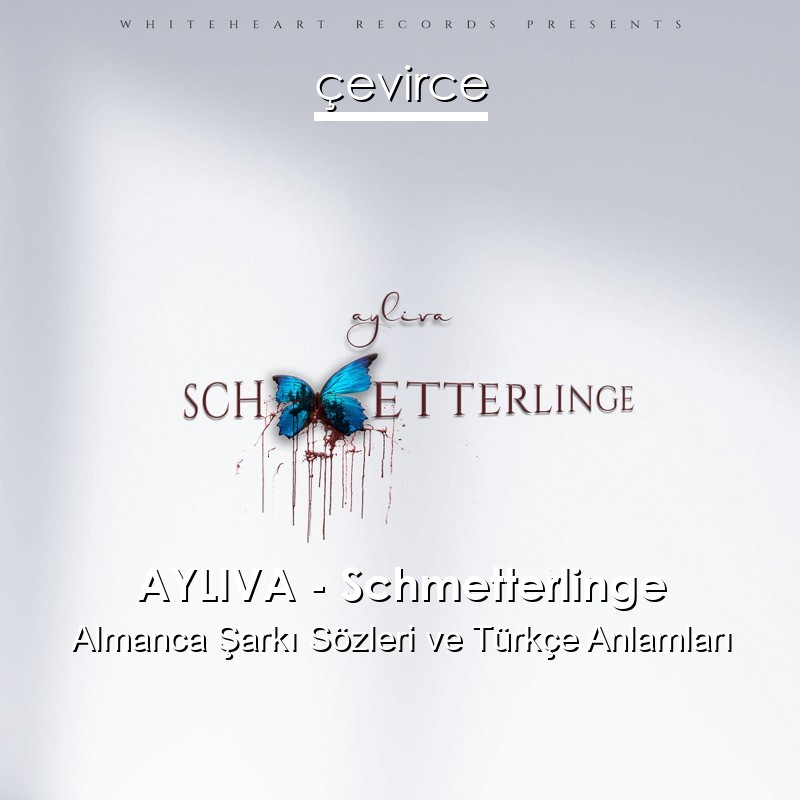 AYLIVA – Schmetterlinge Almanca Şarkı Sözleri Türkçe Anlamları