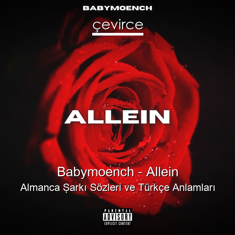 Babymoench – Allein Almanca Şarkı Sözleri Türkçe Anlamları