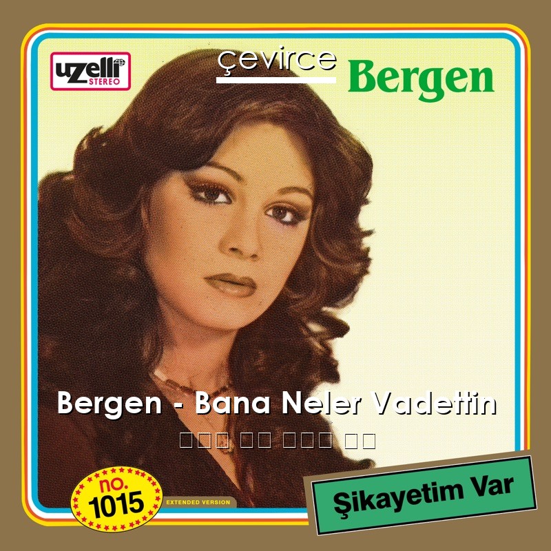 Bergen – Bana Neler Vadettin 土耳其 歌詞 中國人 翻譯