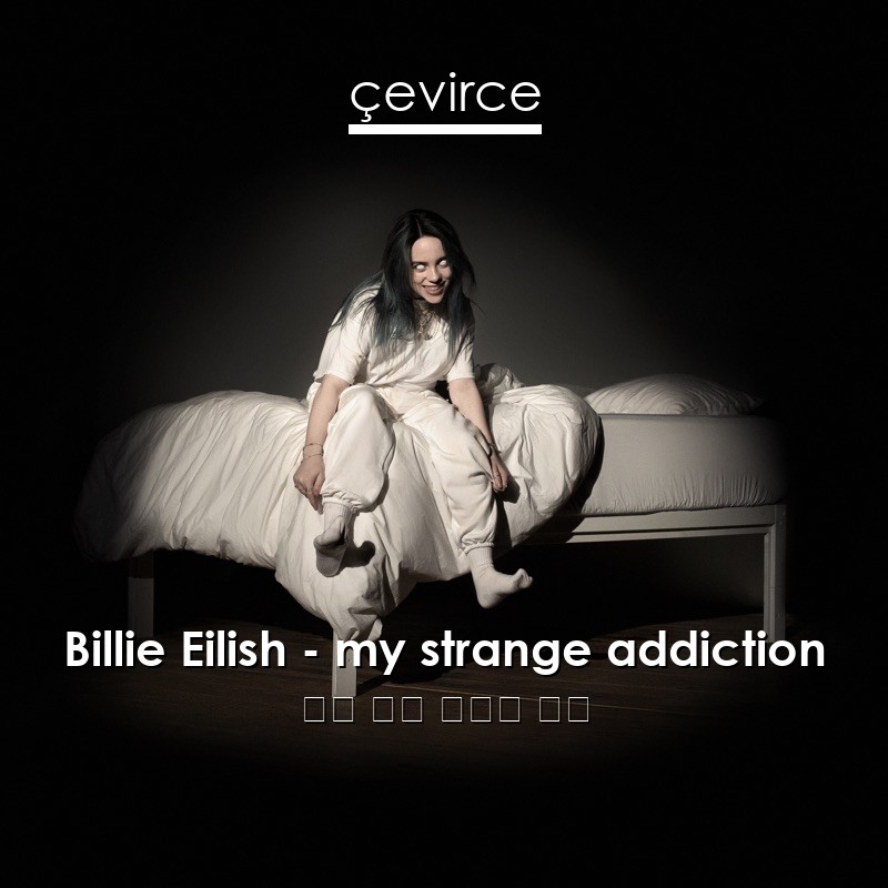 Billie Eilish – my strange addiction 英語 歌詞 中國人 翻譯