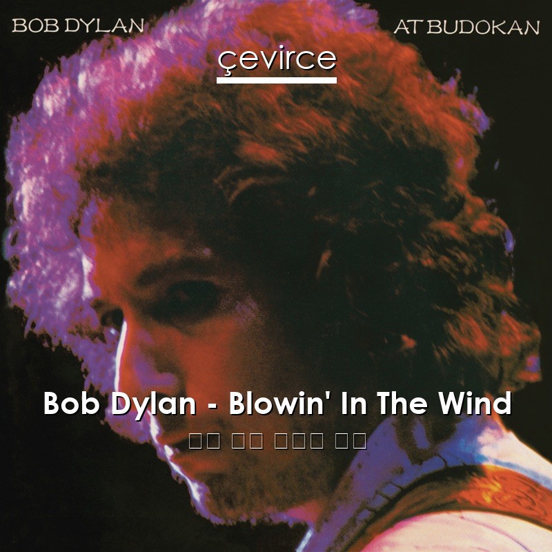 Bob Dylan – Blowin’ In The Wind 英語 歌詞 中國人 翻譯