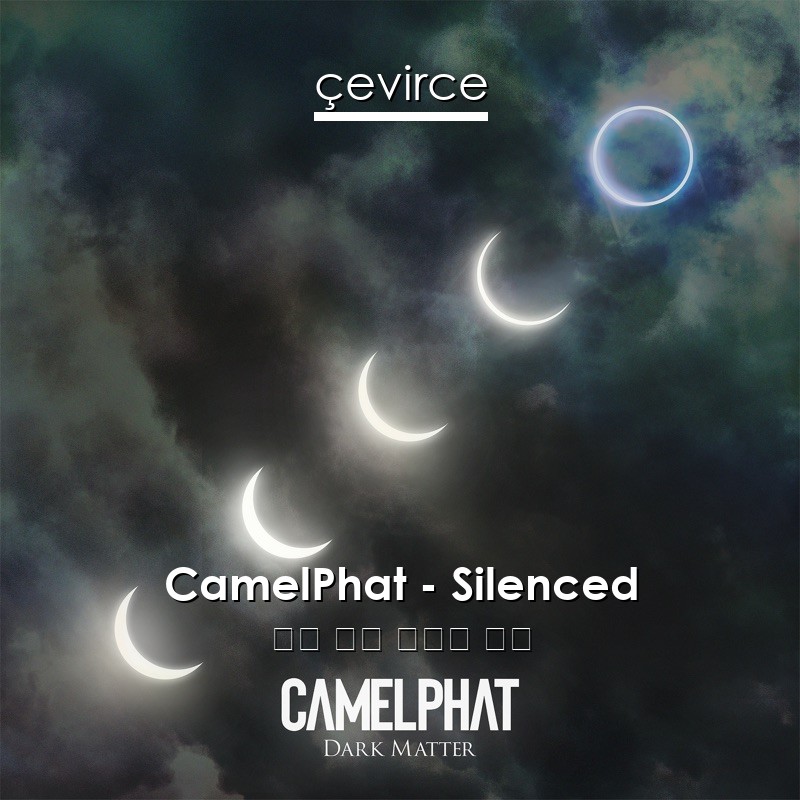 CamelPhat – Silenced 英語 歌詞 中國人 翻譯