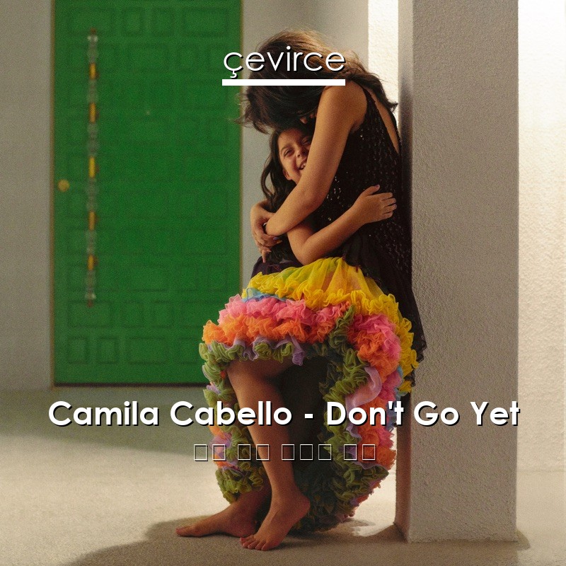 Camila Cabello – Don’t Go Yet 英語 歌詞 中國人 翻譯