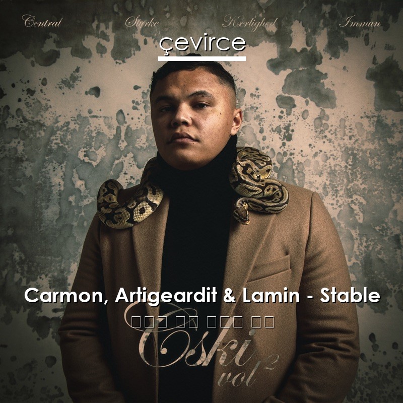 Carmon, Artigeardit & Lamin – Stable 丹麥語 歌詞 中國人 翻譯