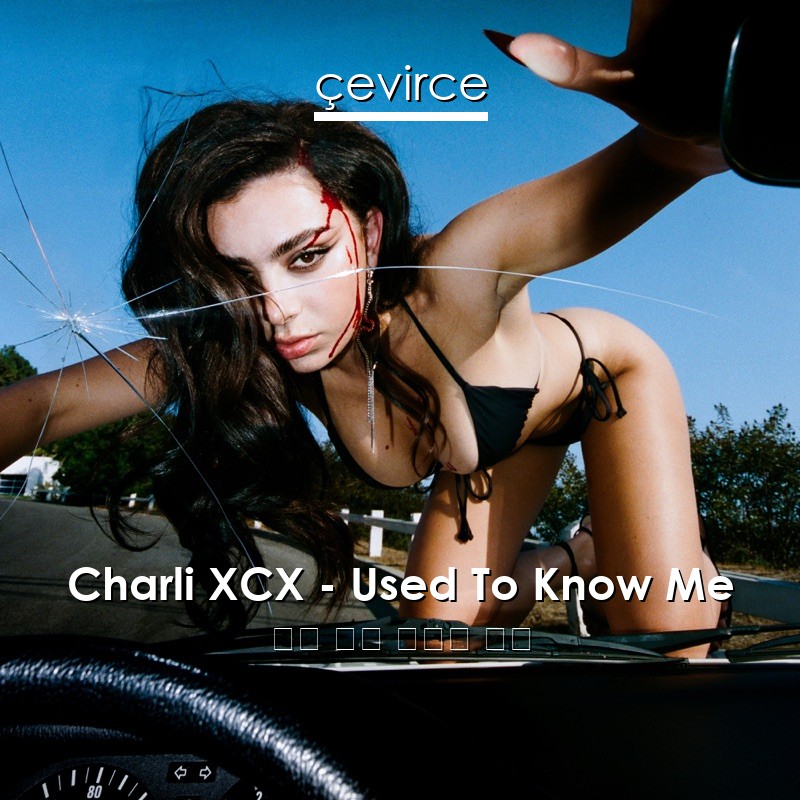 Charli XCX – Used To Know Me 英語 歌詞 中國人 翻譯