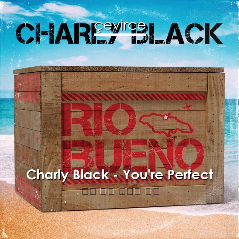 Charly Black – You’re Perfect 英語 歌詞 中國人 翻譯