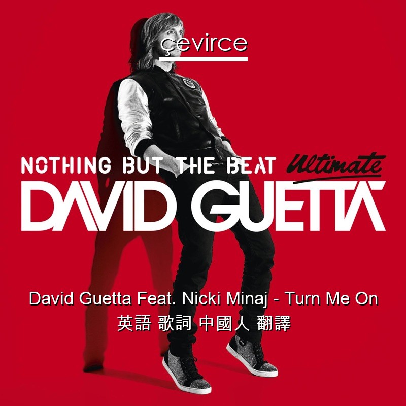 David Guetta Feat. Nicki Minaj – Turn Me On 英語 歌詞 中國人 翻譯