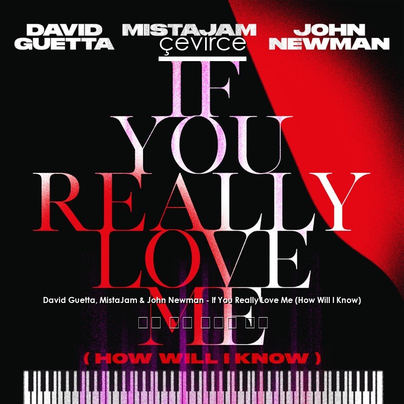 David Guetta, MistaJam & John Newman – If You Really Love Me (How Will I Know) 英語 歌詞 中國人 翻譯