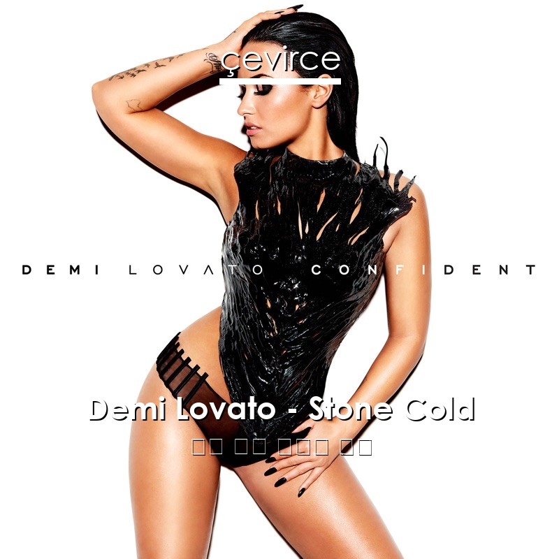 Demi Lovato – Stone Cold 英語 歌詞 中國人 翻譯