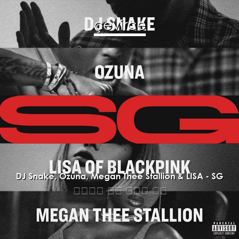 DJ Snake, Ozuna, Megan Thee Stallion & LISA – SG 西班牙語 歌詞 中國人 翻譯