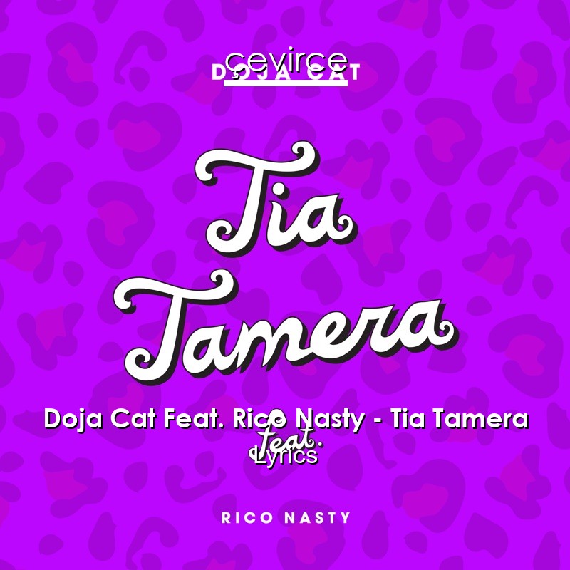 Doja Cat Feat. Rico Nasty – Tia Tamera Lyrics