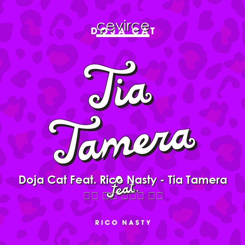 Doja Cat Feat. Rico Nasty – Tia Tamera 英語 歌詞 中國人 翻譯