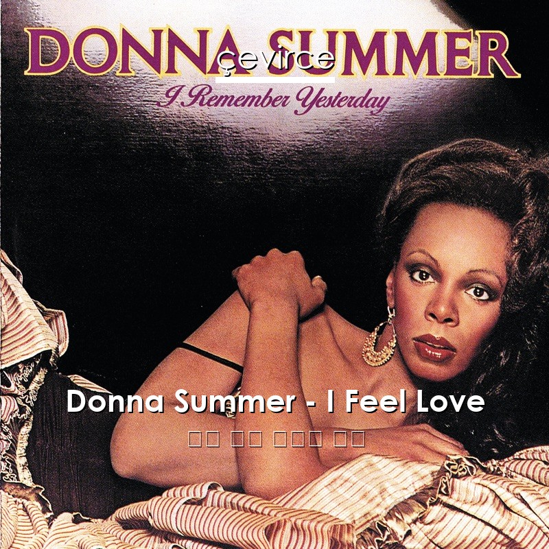 Donna Summer – I Feel Love 英語 歌詞 中國人 翻譯