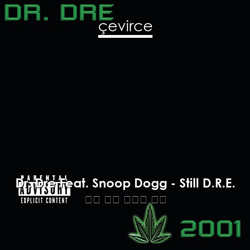 Dr. Dre Feat. Snoop Dogg – Still D.R.E. 英語 歌詞 中國人 翻譯