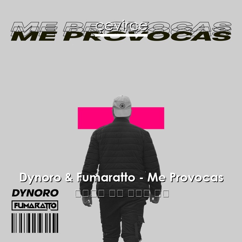 Dynoro & Fumaratto – Me Provocas 西班牙語 歌詞 中國人 翻譯