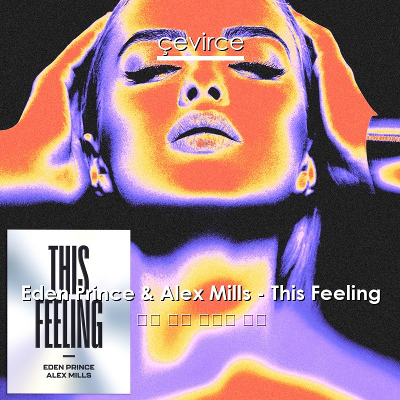 Eden Prince & Alex Mills – This Feeling 英語 歌詞 中國人 翻譯