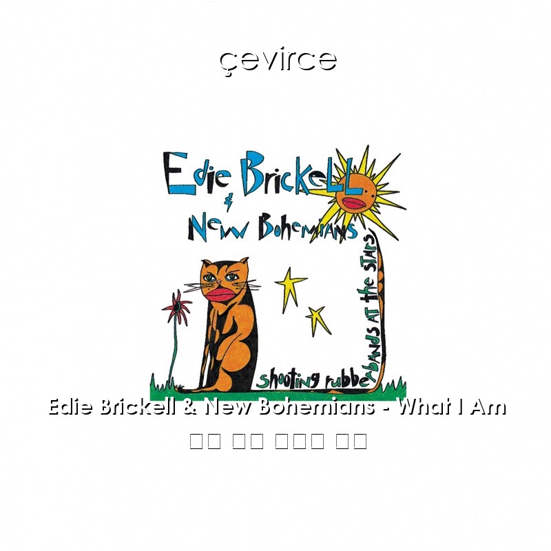 Edie Brickell & New Bohemians – What I Am 英語 歌詞 中國人 翻譯